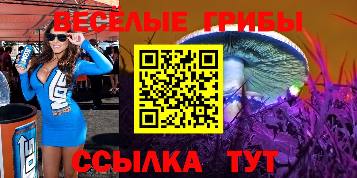 Гуково  продажа наркотиков  Вход с VPN  Галлюциногенные грибы мухоморы 