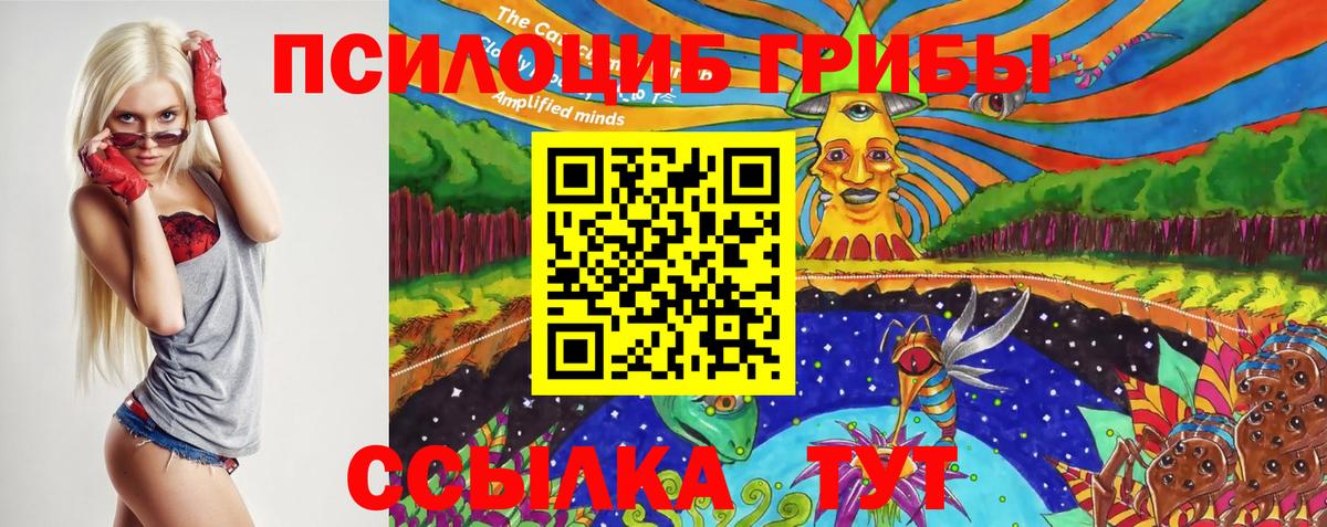 Псилоцибиновые грибы Psilocybine cubensis Гуково
